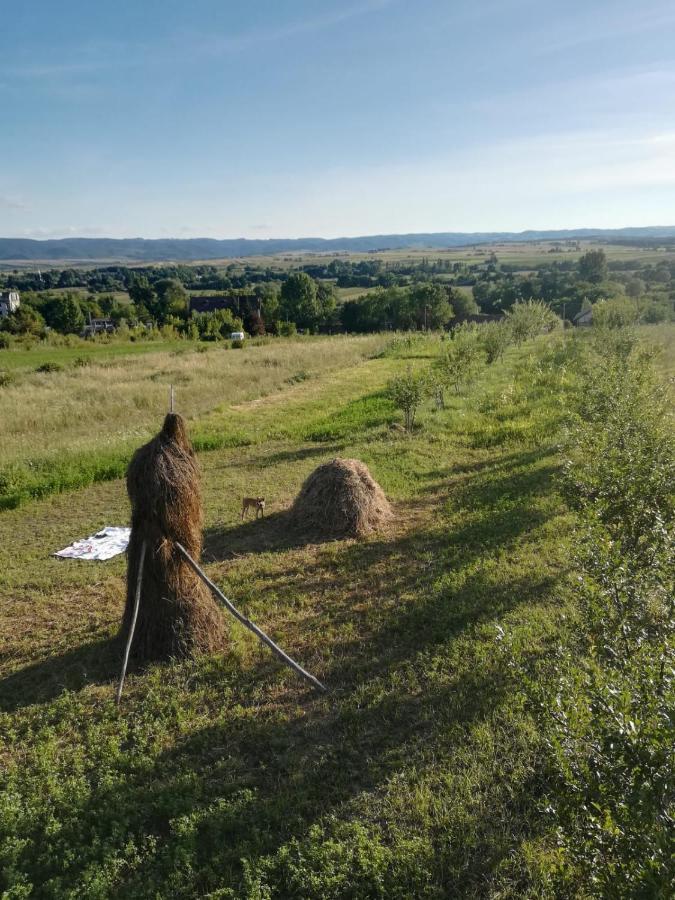 Pensiunea Agroturistica Casa Sirca Boghis Bagian luar foto